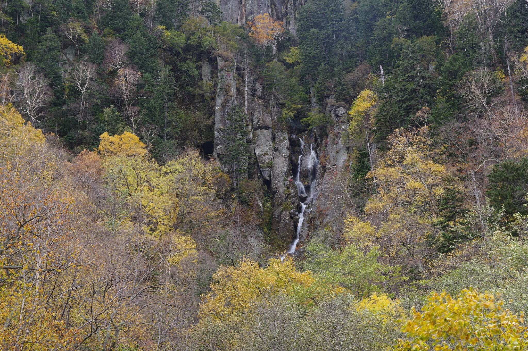 山奥の滝