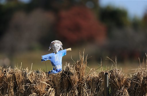 見張り番が立ちました