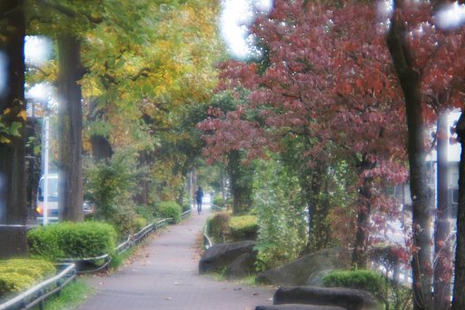 ユリノキ公園にて