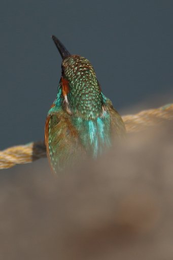 3月10日の写真