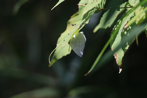 10月8日の写真