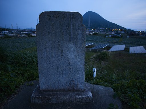 雑感