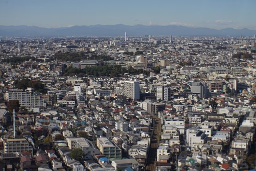 11月11日の写真