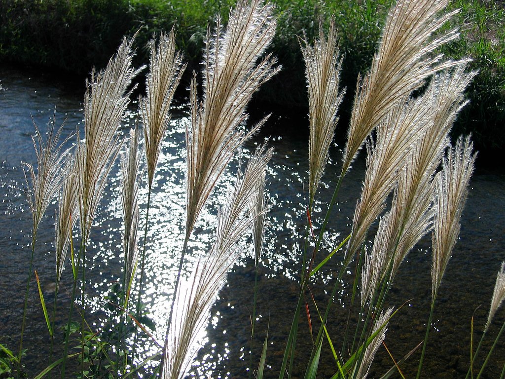 静かな時