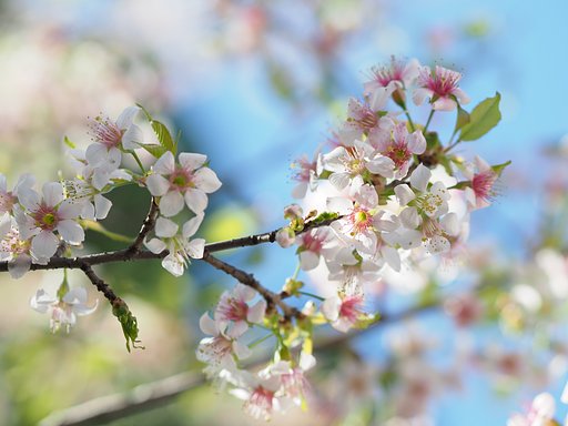 季節の戸惑い