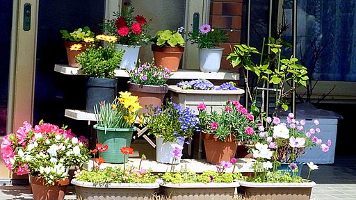４月玄関の花