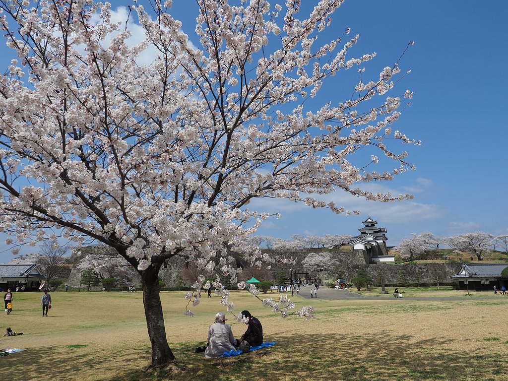春が静かに・・・