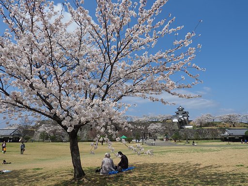 春が静かに・・・