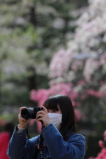 爽やか美人百景・Cという時代の下に
