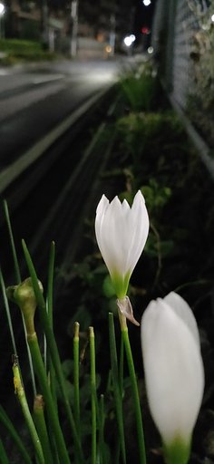 お見送りのあとで