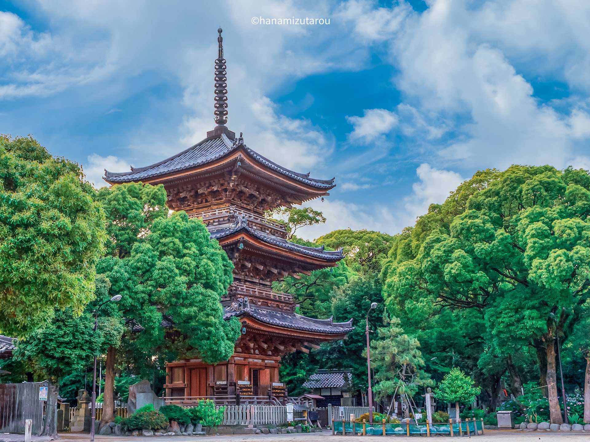 【情景】甚目寺観音
