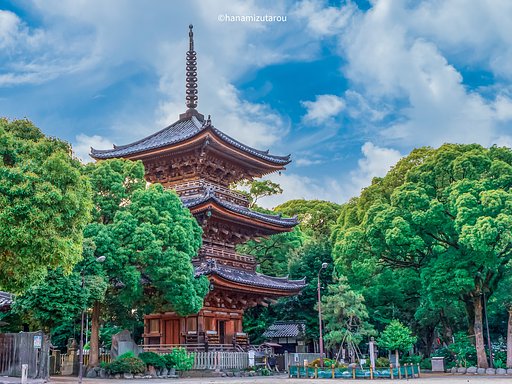 【情景】甚目寺観音