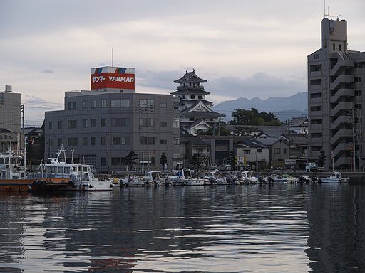 1月1日の写真