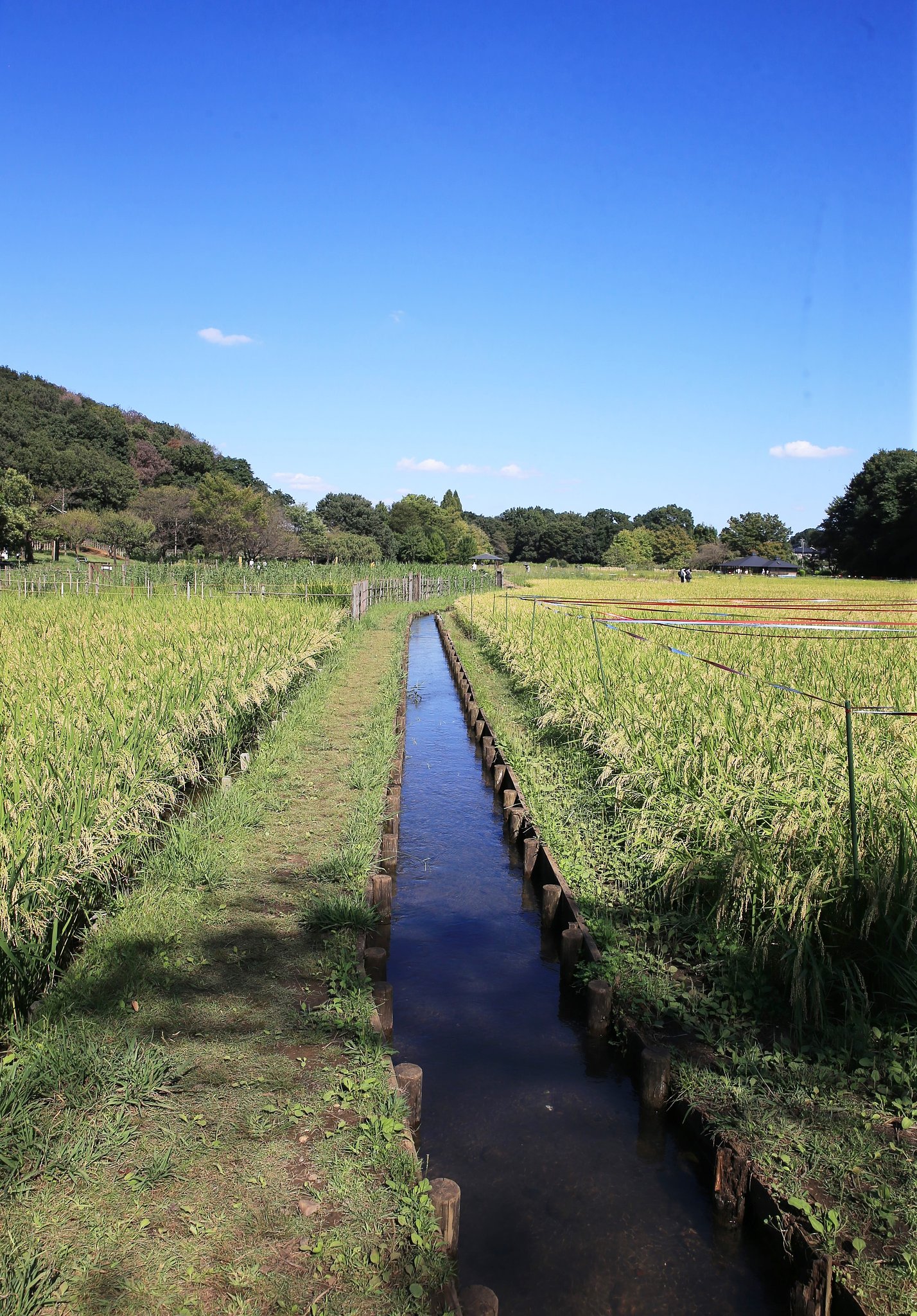 【情景】用水路