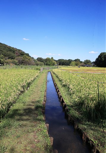 【情景】用水路