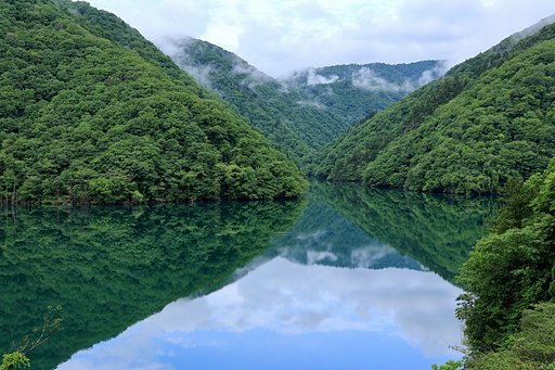 徳山ダム　