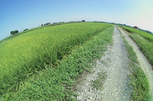 【円】じゃり道