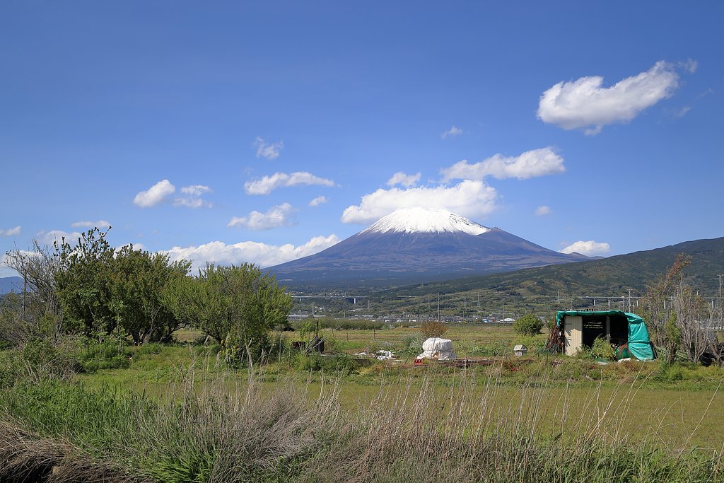富士市中里の富士景