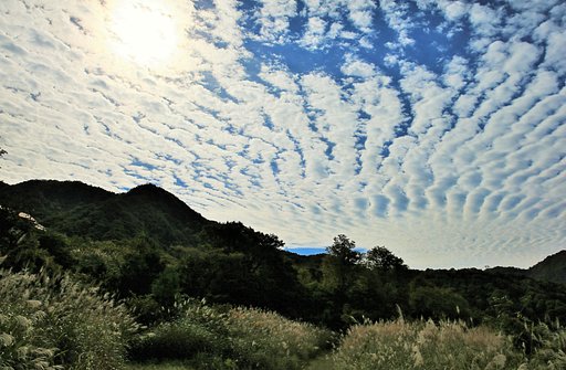【雲】さば雲