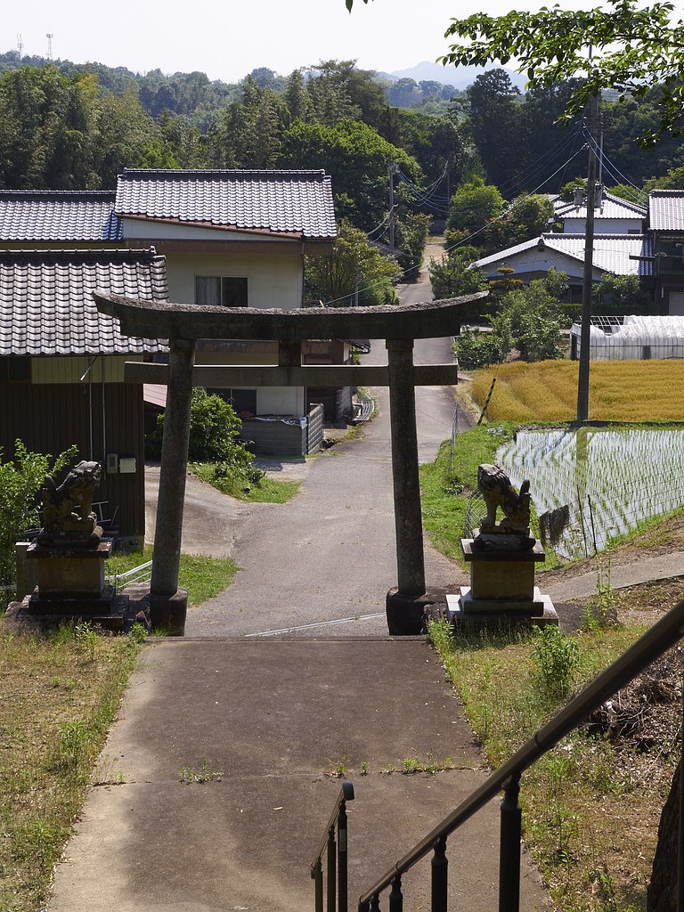 雑感