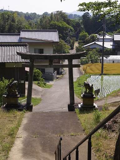 雑感