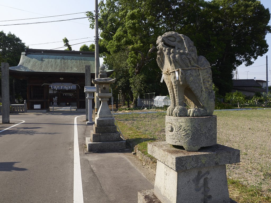 雑感