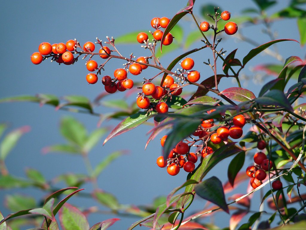 MZD75-300F4.8-6.7　Ⅱ
