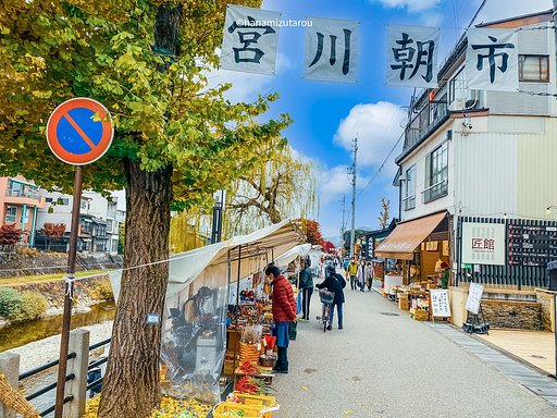 【銀杏】宮川朝市