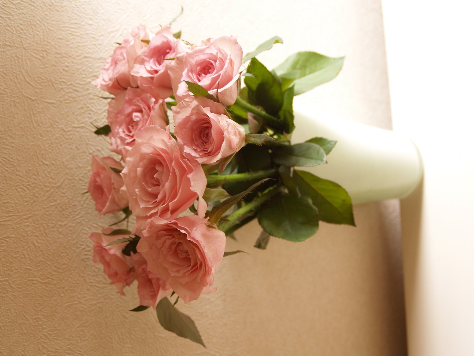 薔薇