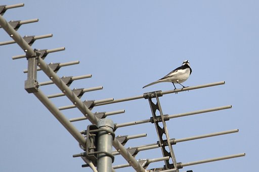 4月24日の写真