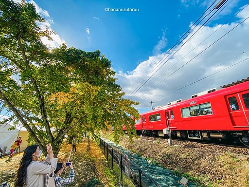 銀杏と赤い電車に女子