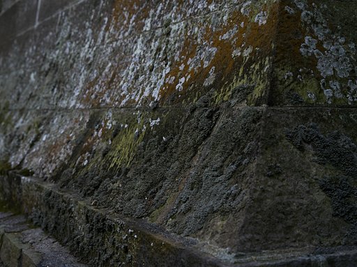 11月20日の写真