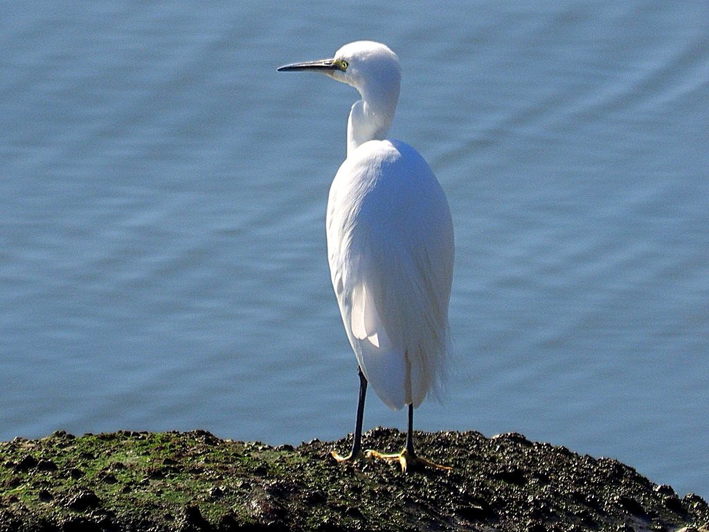 ZD50-200F2.8-200mm+EC2.0+MMF-1