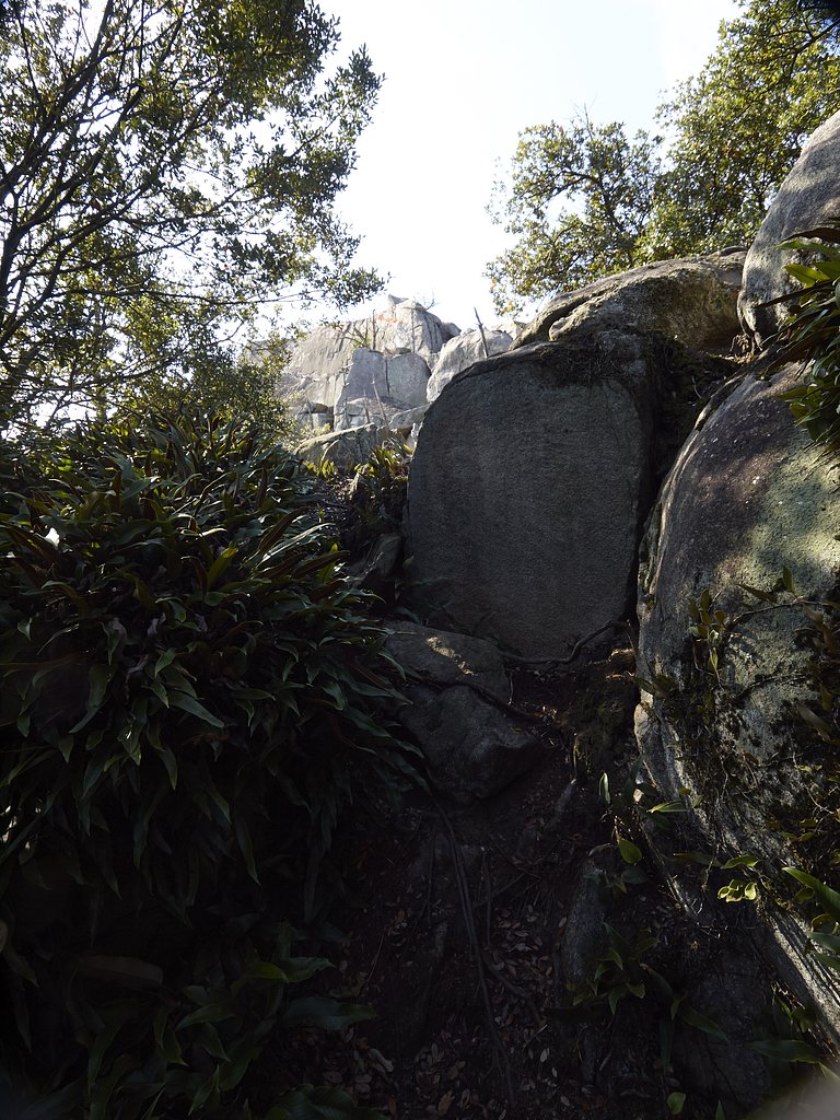 道