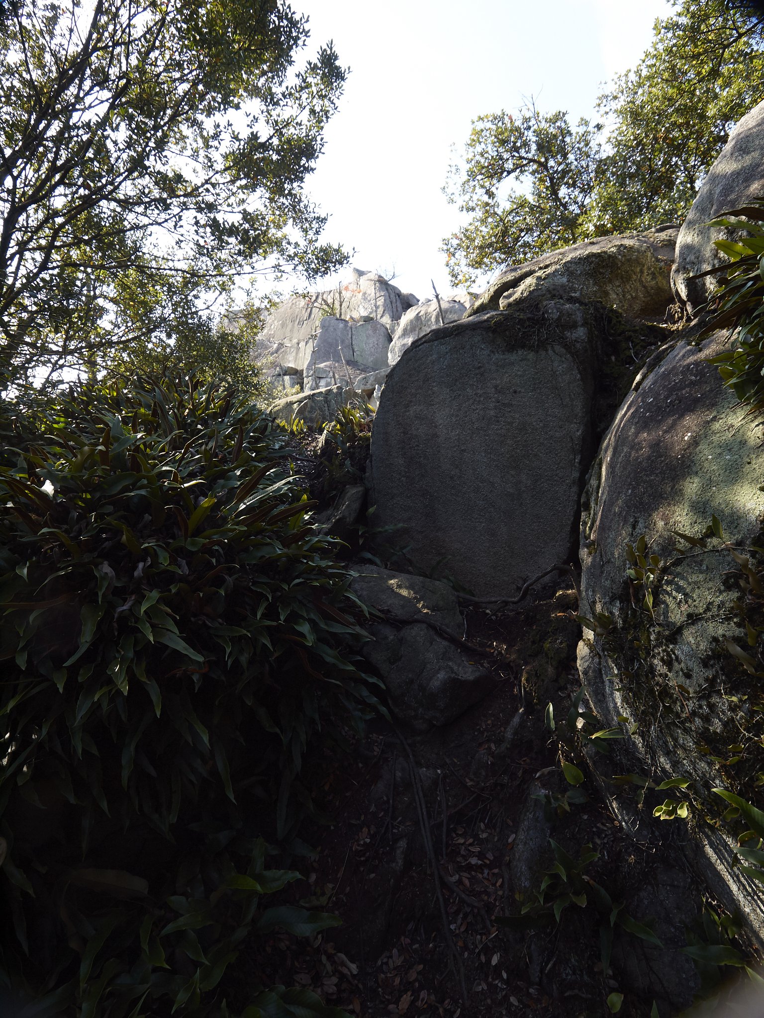 道