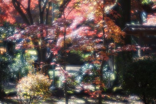 豪徳寺の紅葉いよいよ終盤