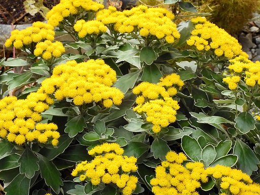 12月9日の写真