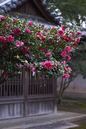 12月18日の写真