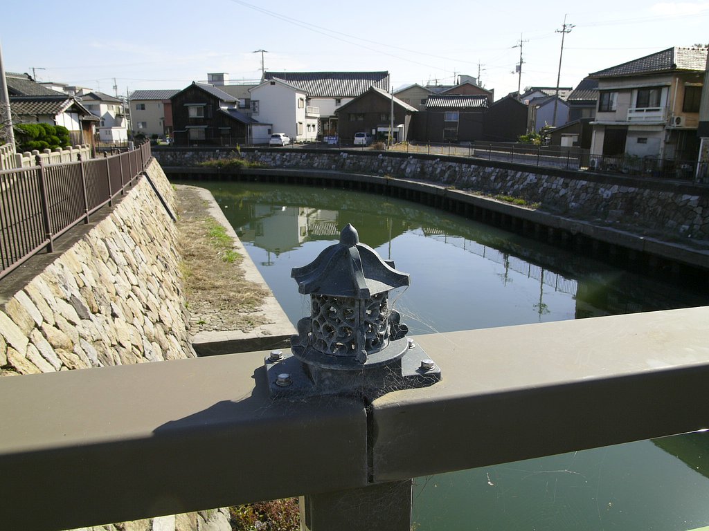 雑感
