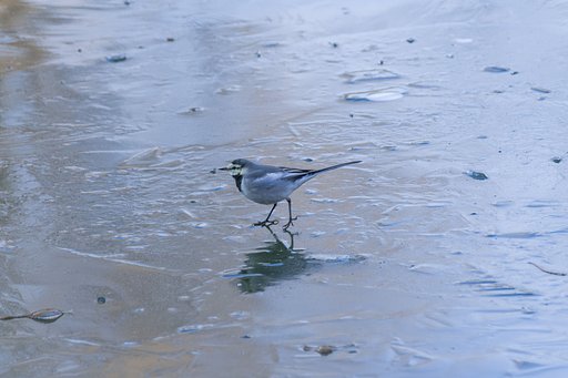 12月29日の写真