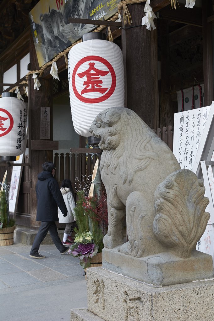 雑感