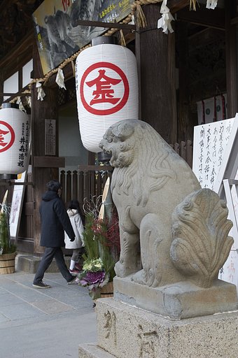 雑感