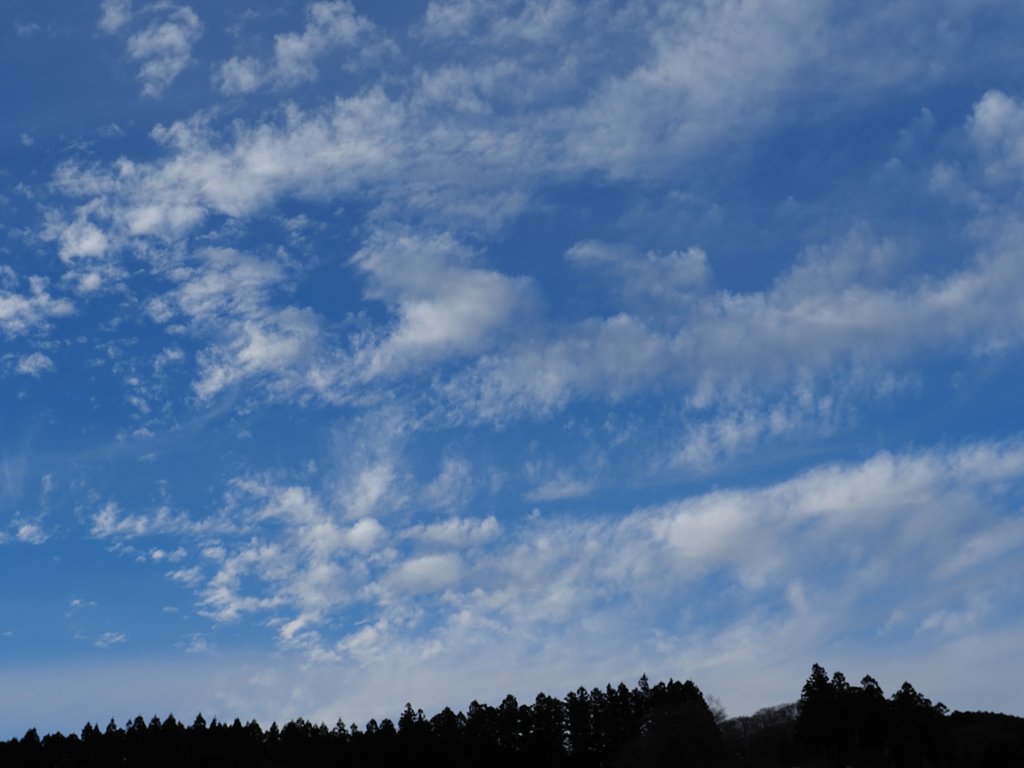 冬空