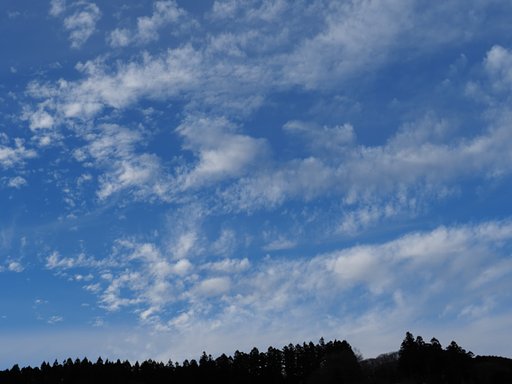 冬空