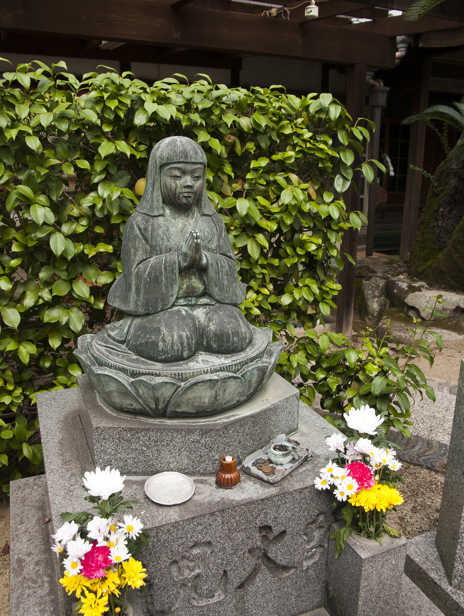 雑感