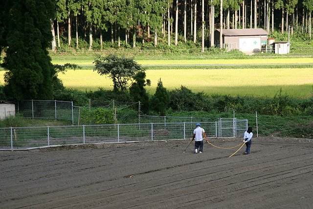 山里の【小さな秋】