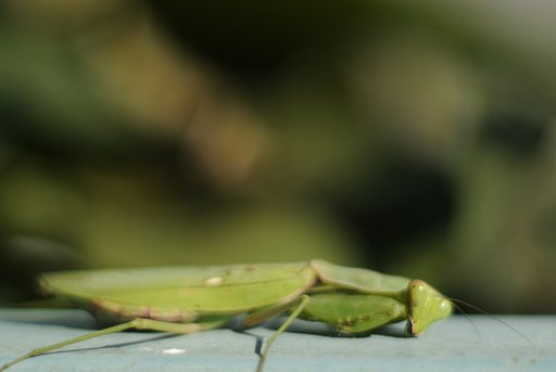 10月21日の写真