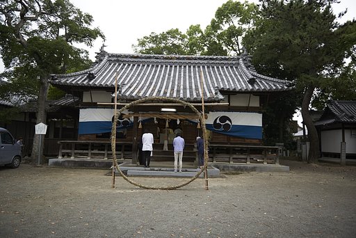 雑感