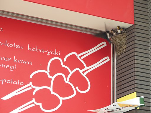 ちょっとどうかな？
