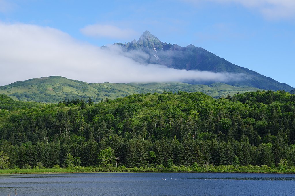 オタトマリ湖からの利尻山